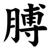 「膊」の楷書体フォント・イメージ