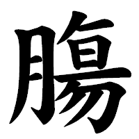 「膓」の楷書体フォント・イメージ