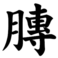 「膞」の楷書体フォント・イメージ