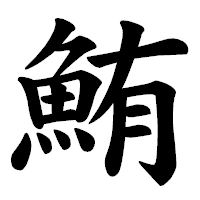 「鮪」の楷書体フォント・イメージ
