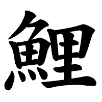 「鯉」の楷書体フォント・イメージ