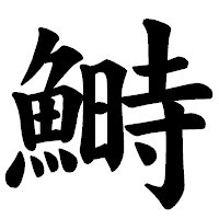 「鰣」の楷書体フォント・イメージ