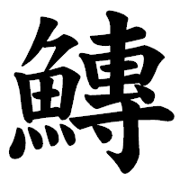 「鱄」の楷書体フォント・イメージ