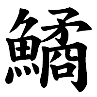 「鱊」の楷書体フォント・イメージ
