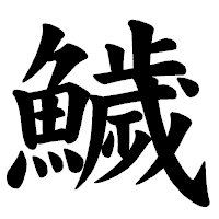 「鱥」の楷書体フォント・イメージ