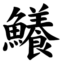 「鱶」の楷書体フォント・イメージ