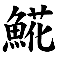 「𩸽」の楷書体フォント・イメージ