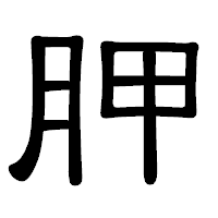 「胛」の隷書体フォント・イメージ