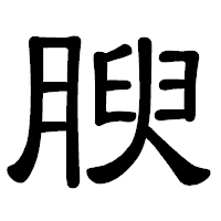 「腴」の隷書体フォント・イメージ