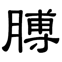 「膊」の隷書体フォント・イメージ
