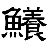「鱶」の隷書体フォント・イメージ
