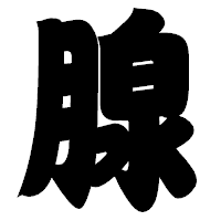 「腺」の相撲体フォント・イメージ