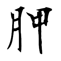 「胛」の衡山毛筆フォント・イメージ