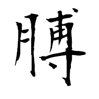 「膊」の衡山毛筆フォント・イメージ