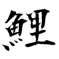 「鯉」の衡山毛筆フォント・イメージ