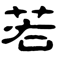 「若」の古印体フォント・イメージ