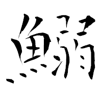 「鰯」の青柳疎石フォント・イメージ