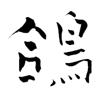 「鴿」の青柳疎石フォント・イメージ