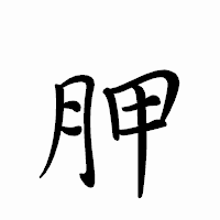 「胛」のペン字体フォント・イメージ