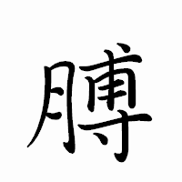 「膊」のペン字体フォント・イメージ