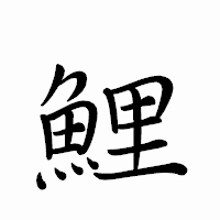 「鯉」のペン字体フォント・イメージ