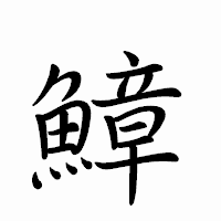 「鱆」のペン字体フォント・イメージ