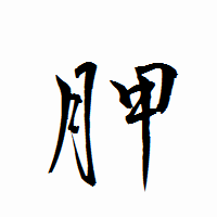 「胛」の衡山行書フォント・イメージ
