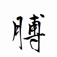 「膊」の衡山行書フォント・イメージ